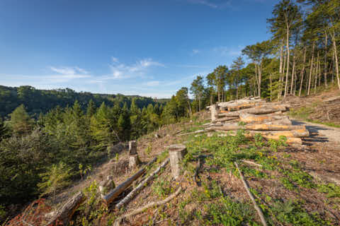 Gemeinde Hochburg-Ach Bezirk Braunau Wanghausen Aussicht Marienberg (Dirschl Johann) Österreich BR